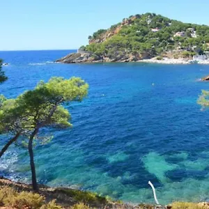 https://grand-studio-30m-avec-jardin-proche-des-plages.fr-provencehotel.com